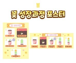 꽃 성장과정 포스터