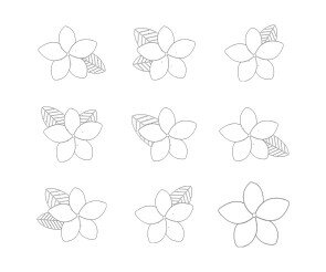 플루메리아 색칠 모음