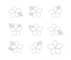 플루메리아 색칠 모음