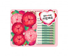 카네이션 용돈 선물