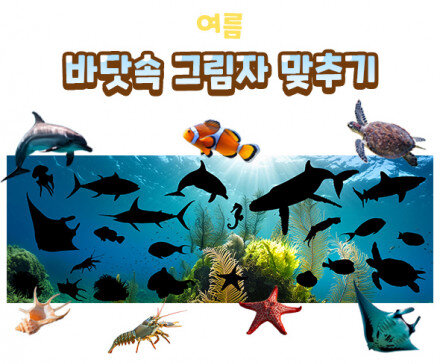 바닷속 그림자 맞추기