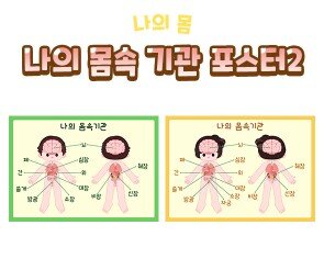 나의 몸속 기관 포스터