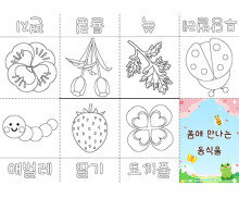 봄에 만나는 동식물 사전