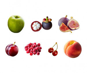 과일(체리,자두,산딸기,복숭아,무화과,망고스틴,풋사과)