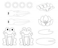 개구리,연꽃,연잎 색칠 모음