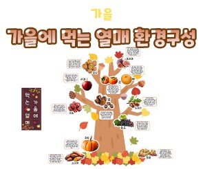 가을에 먹는 열매 환경구성