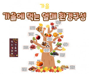 가을에 먹는 열매 환경구성