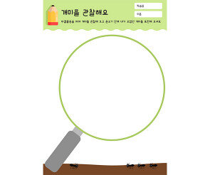 개미를 관찰해요