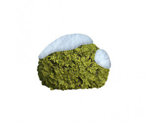 눈 쌓인 나무(덤블)