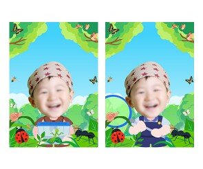 곤충 채집 합성 표지