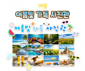 여름빛 가득 사진관