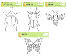 곤충을 꾸며요