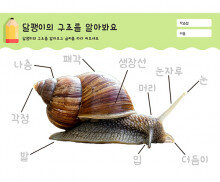 달팽이의 구조를 알아봐요