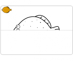 거울 대칭 그리기