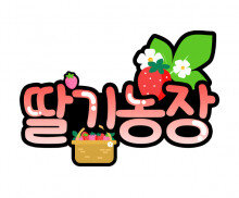 딸기농장 토퍼