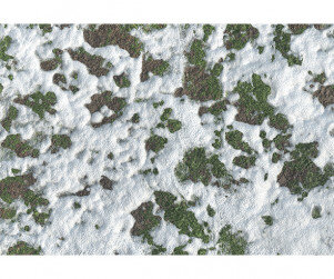 잔디에 눈 내린 배경