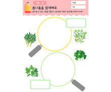 봄나물을 탐색해요