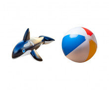 여름 용품(돌고래 튜브,비치볼)