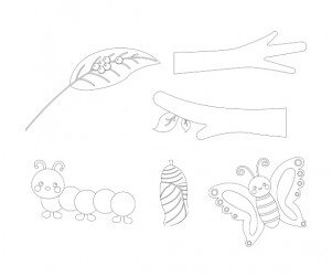 나비 성장과정 색칠 모음