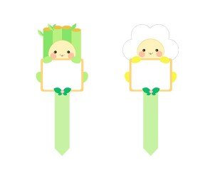 화분 픽 ( 개운죽, 데이지)