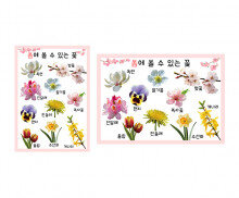 봄에 볼 수 있는 꽃