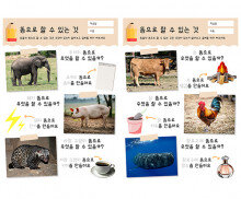 똥으로 할 수 있는 것