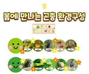 봄에 만나는 곤충 환경구성