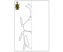 장수풍뎅이 대칭 그리기