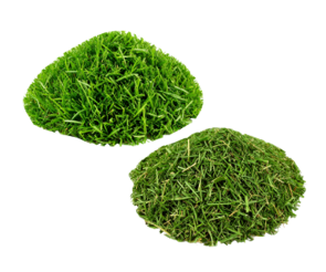 자른 풀더미(동물먹이용)