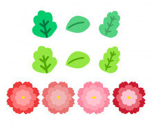 카네이션,잎사귀