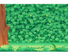 담쟁이넝쿨 배경