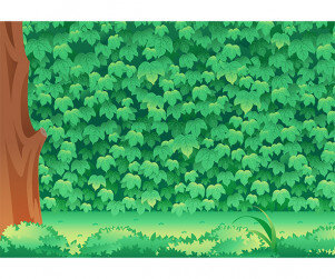 담쟁이넝쿨 배경