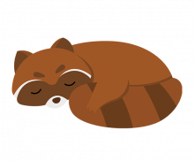 겨울잠 자는 너구리