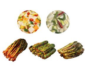 김치(파김치,오이소박이,동치미,나박김치,갓김치)