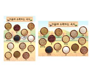 가을에 수확하는 곡식