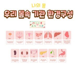 우리 몸속 기관 환경구성
