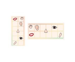 나의 신체기관 원고지 레터링(문구없음)