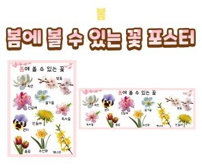 봄에 볼 수 있는 꽃 포스터