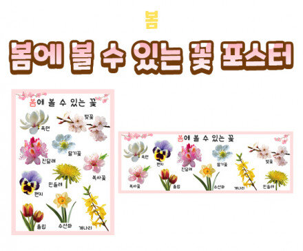 봄에 볼 수 있는 꽃 포스터