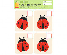 무당벌레 점은 몇 개일까