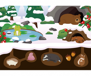 겨울잠 자는 동물 배경