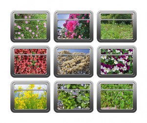 [개별도안] 봄 풍경 기차 창문