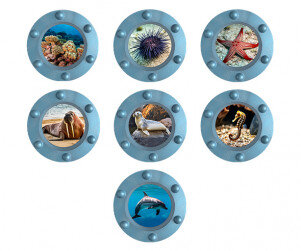 바닷속 잠수함 창문