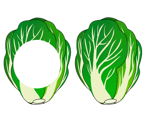 맛있는 김장 만들기 배추 가랜드 개별도안