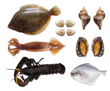 생선&해산물 모음3