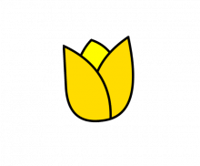 튤립