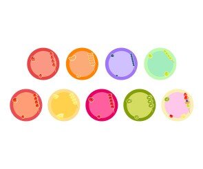 탕후루 라벨 9종(문구없음)