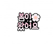 봄이 왔어요 토퍼