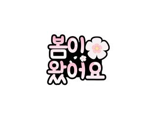 봄이 왔어요 토퍼