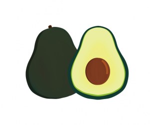 아보카도 단면